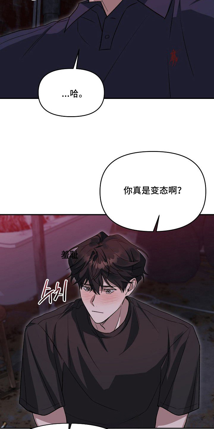 亲爱的杀手 - 稳妥的办法 - 第5页