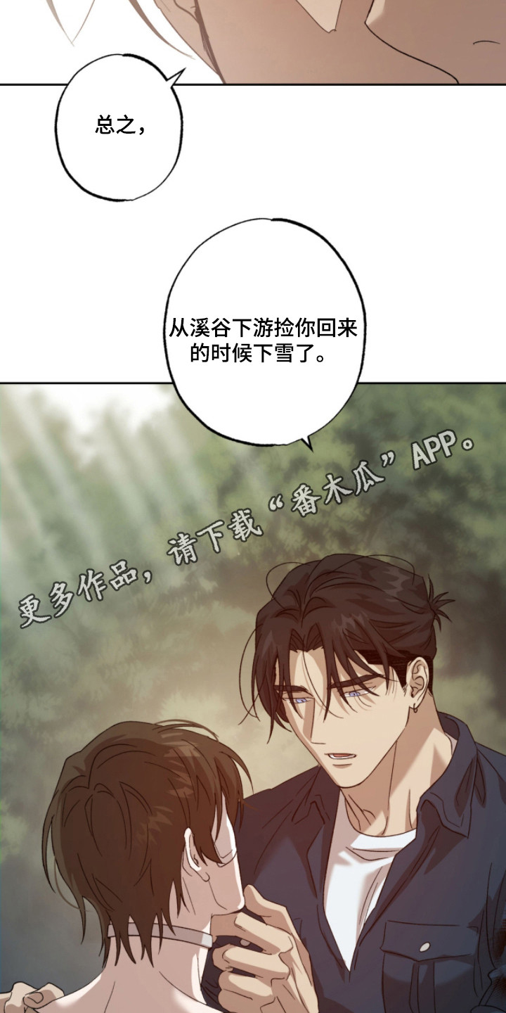 双生悲愿 - 取名 - 第12页