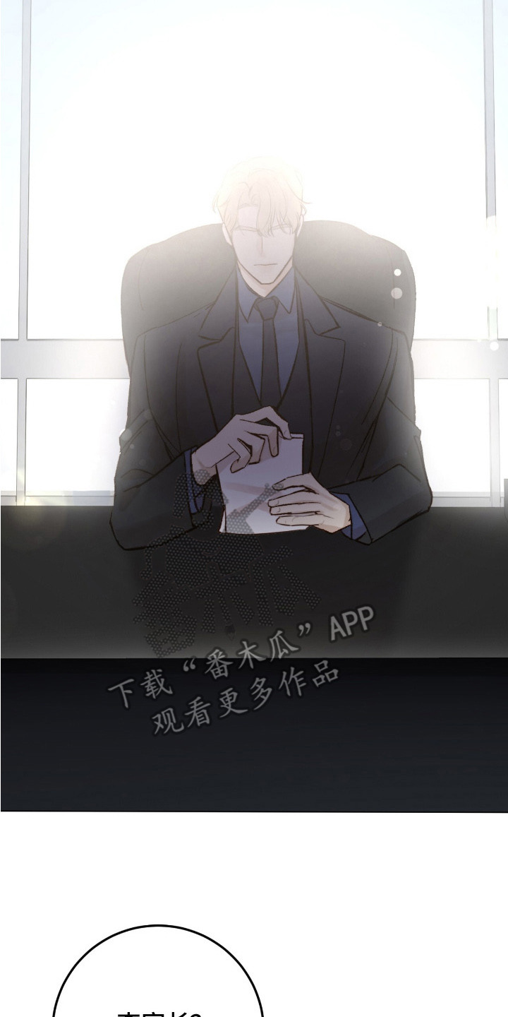 幸存者的曙光 - 想象 - 第21页