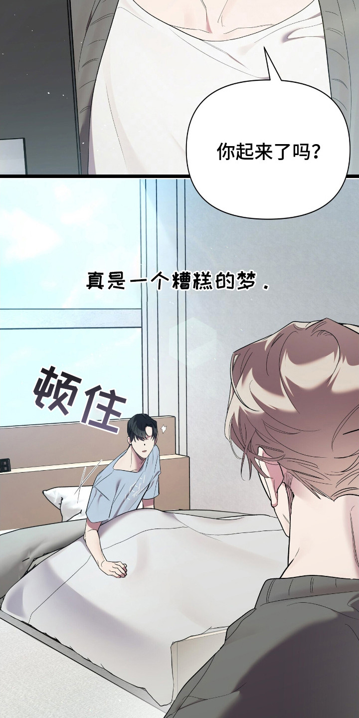 重回巅峰 - 开心的梦 - 第11页