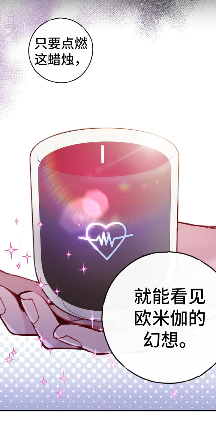 虚假阿尔法 - 信息素蜡烛 - 第5页