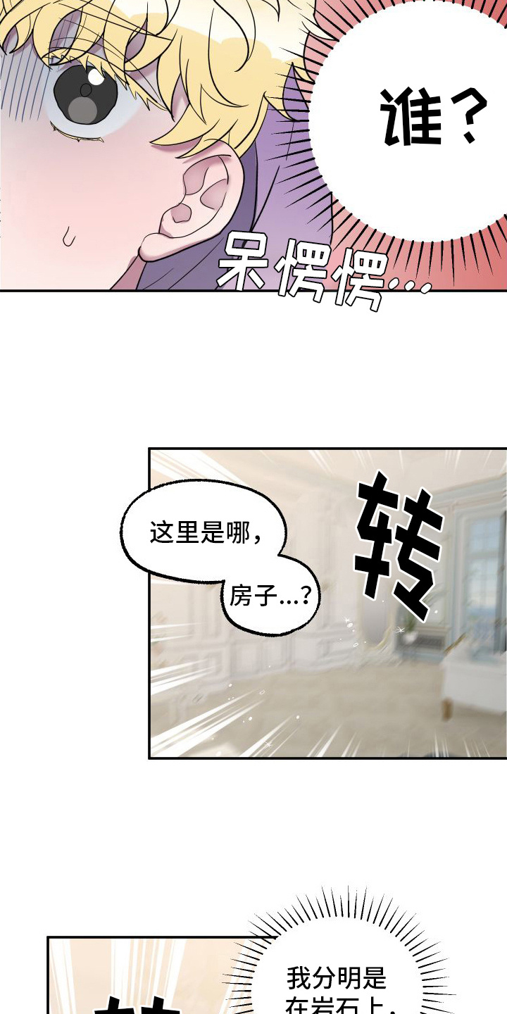 鲨鱼的新娘 - 品种 - 第7页