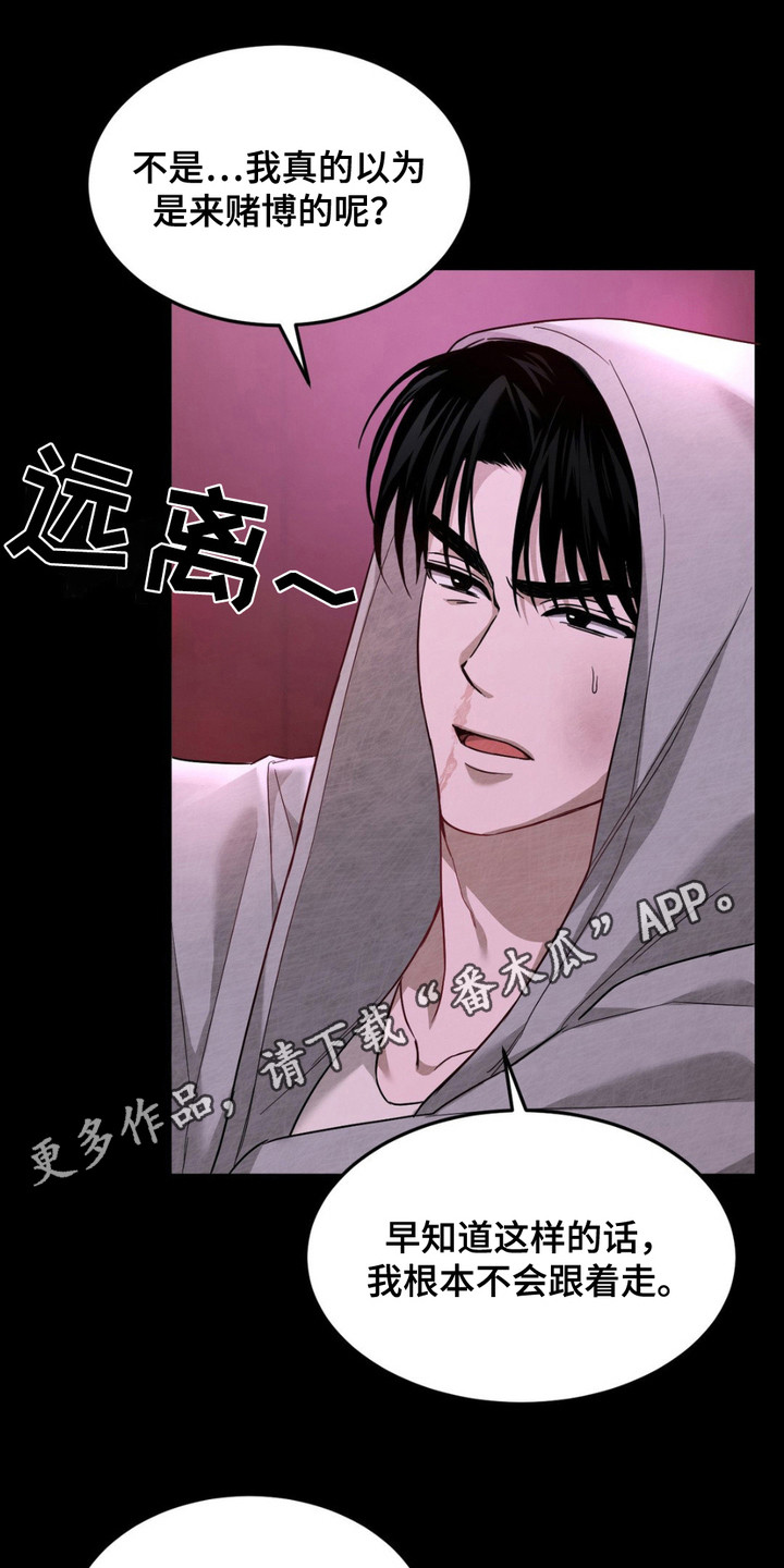 赌场狂潮 - 拽走 - 第12页