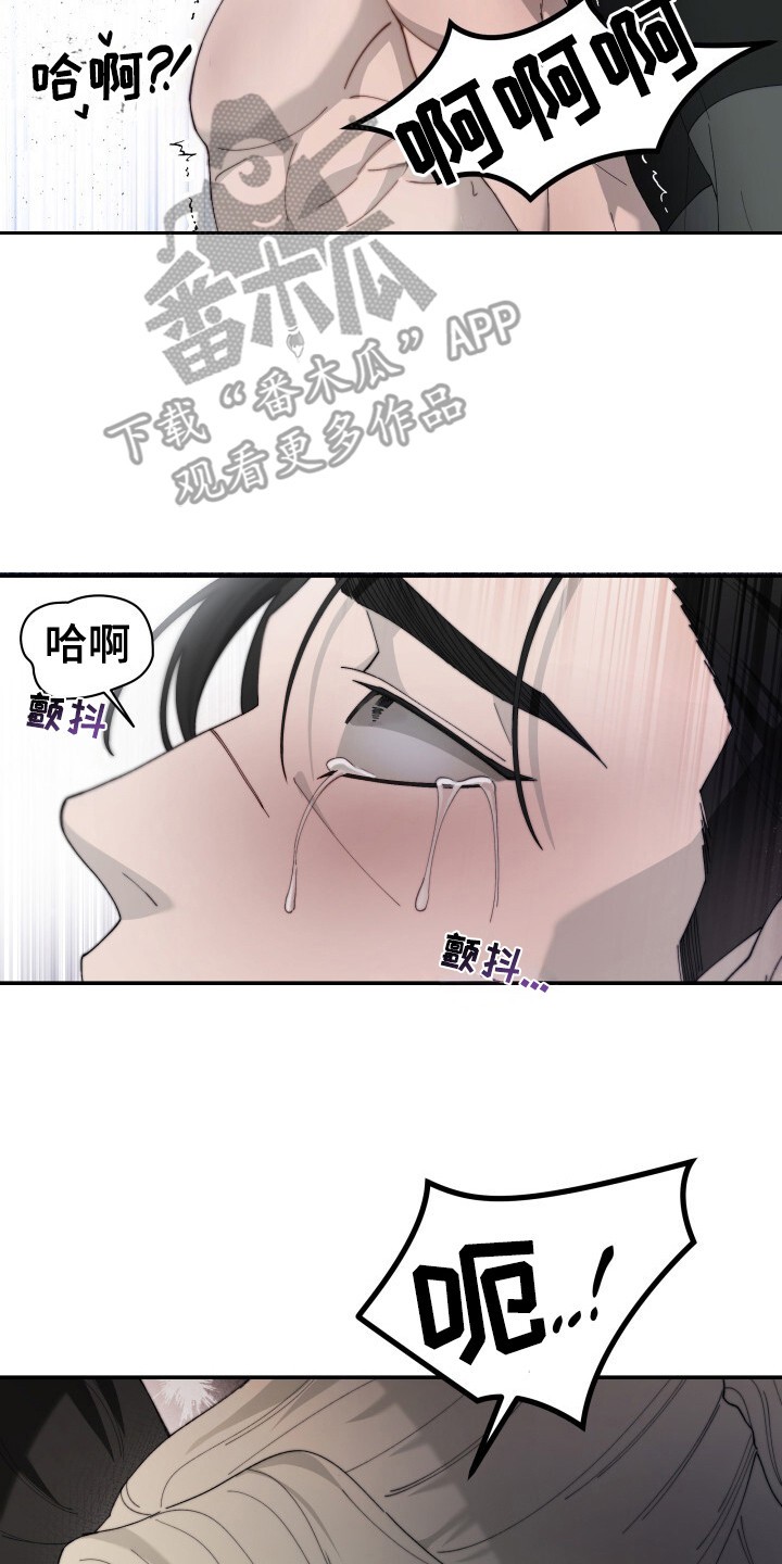 罪爱交错 - 怒目而视 - 第15页