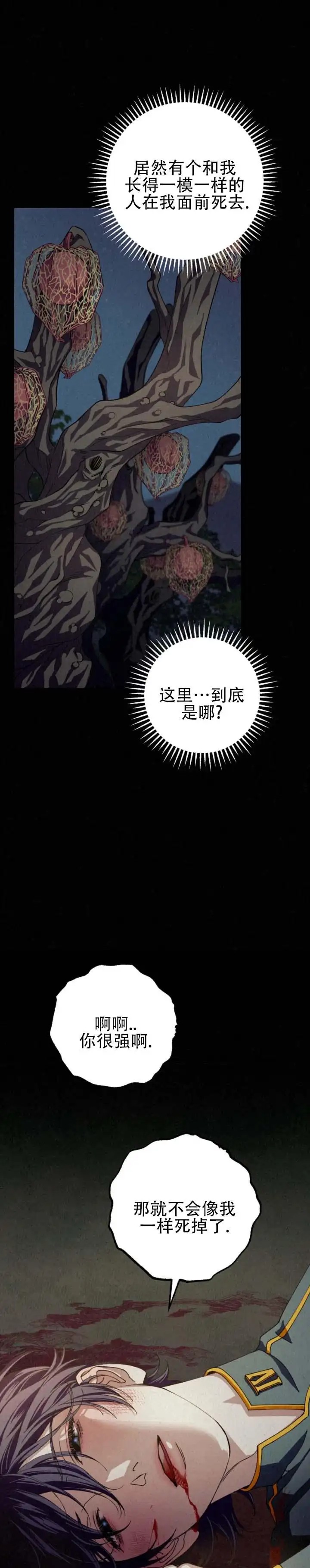 曙光余息 - 从未见过 - 第10页
