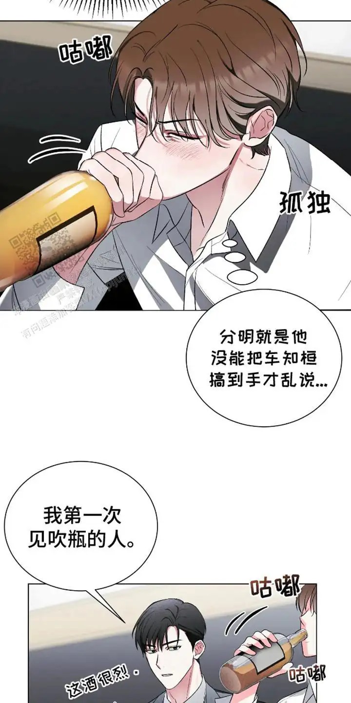坏苹果替代品 - 试试看 - 第5页