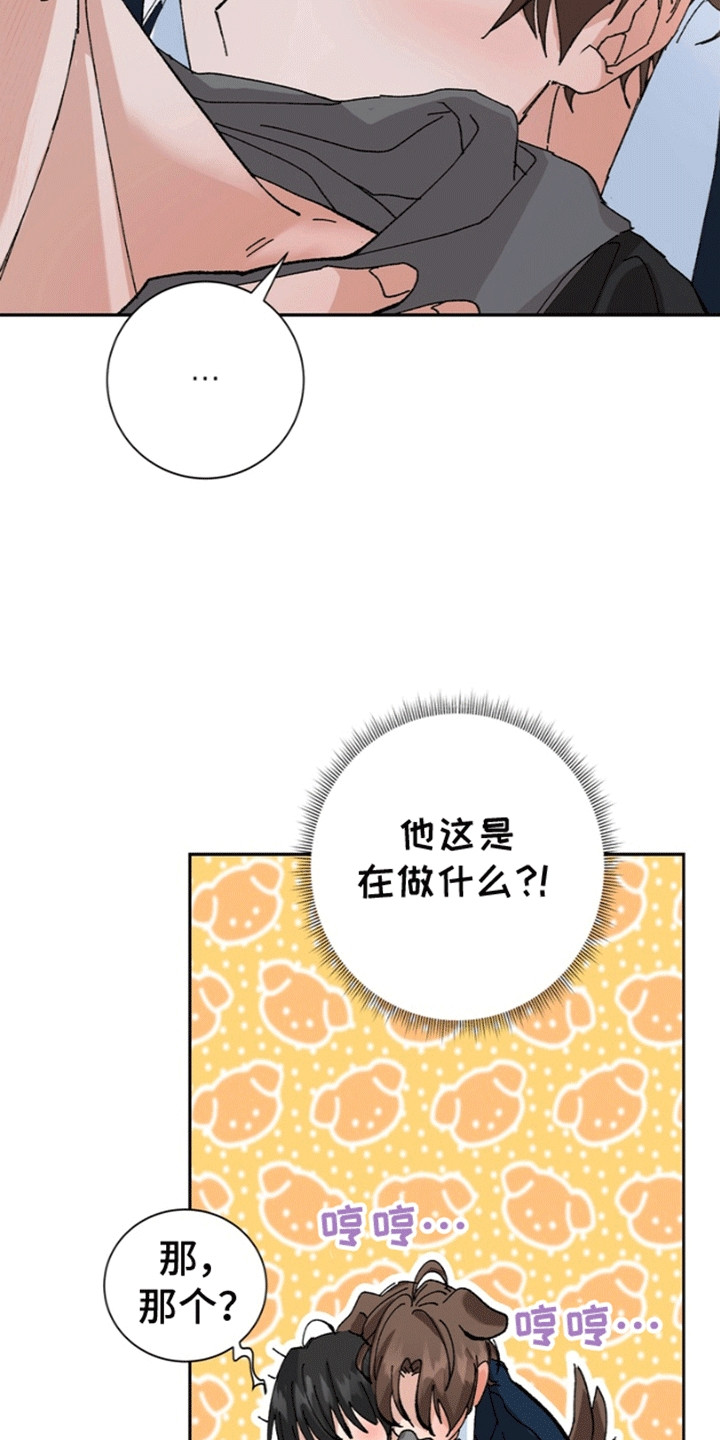 奇异夫妇 - 和我结婚吧 - 第12页