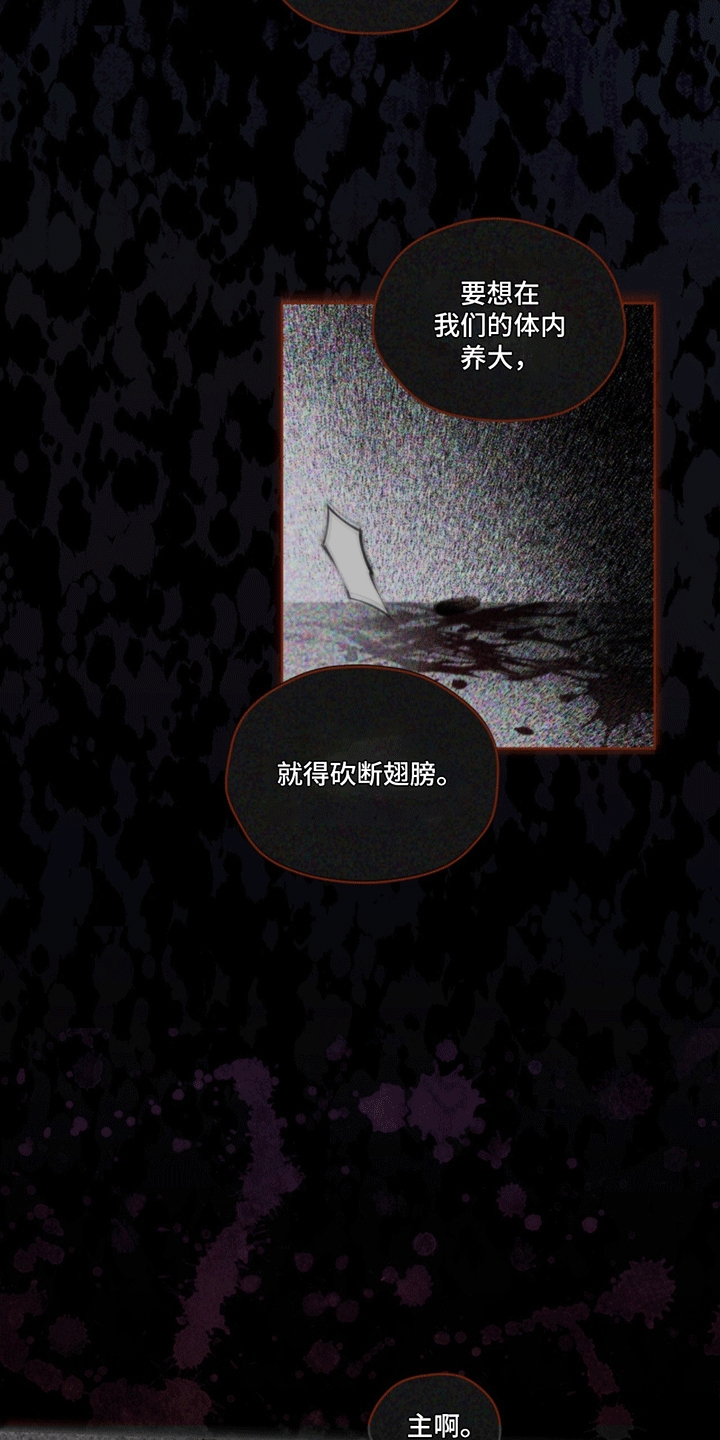 呼吸的记忆 - 记忆 - 第20页