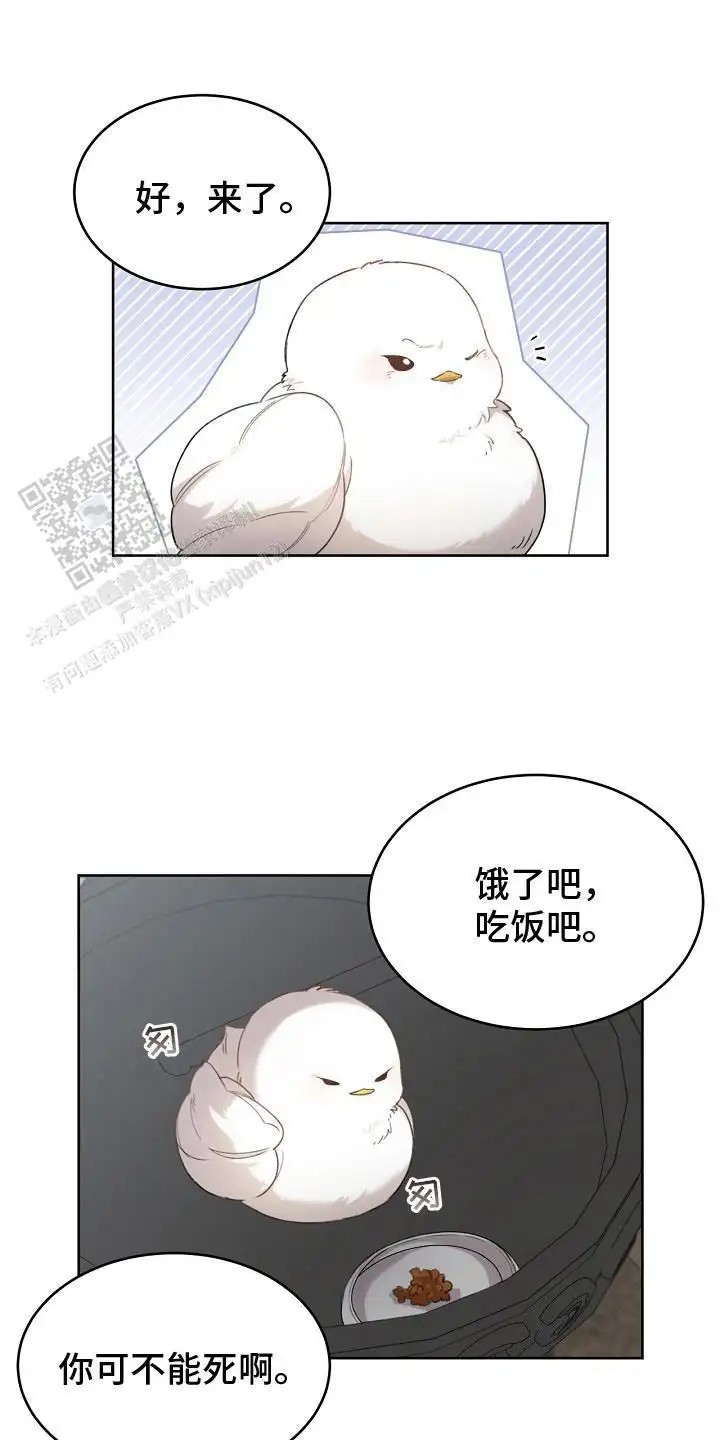 白鸟奇遇记 - 性格不好 - 第14页