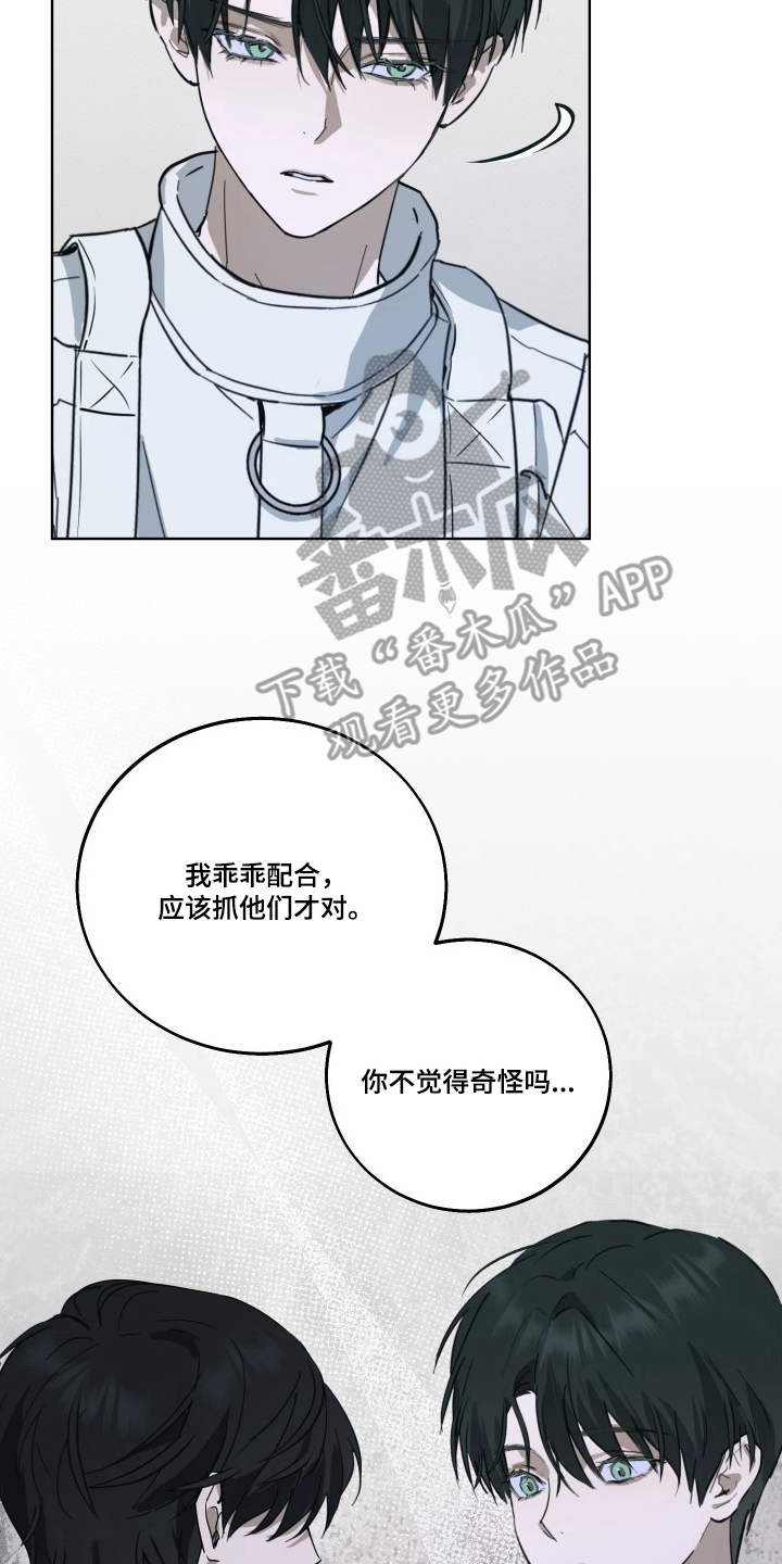 灼痕向导 - 做错了什么 - 第11页