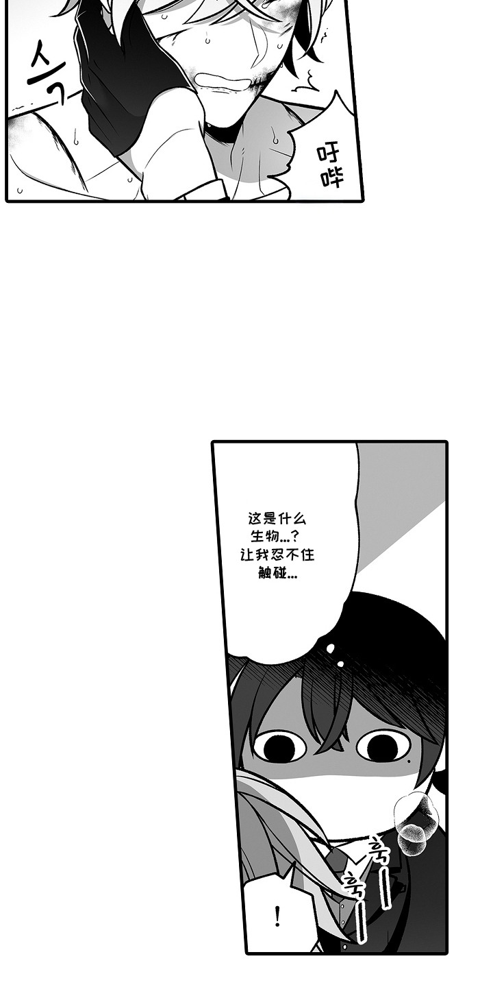 鱼缸里的恋人 - 人鱼 - 第14页