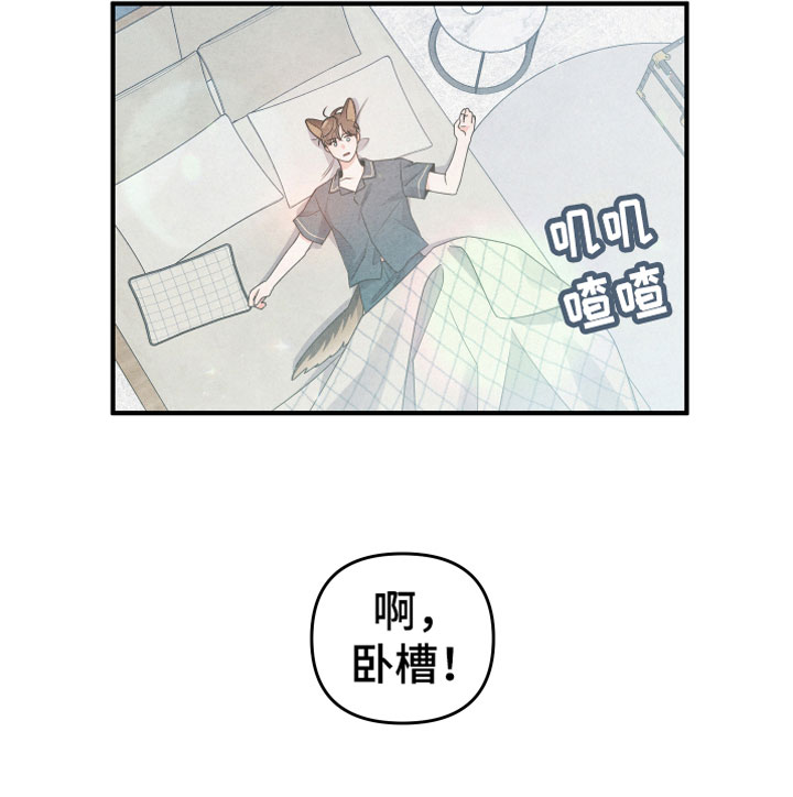 狗狗的恋爱 - 小型犬 - 第22页