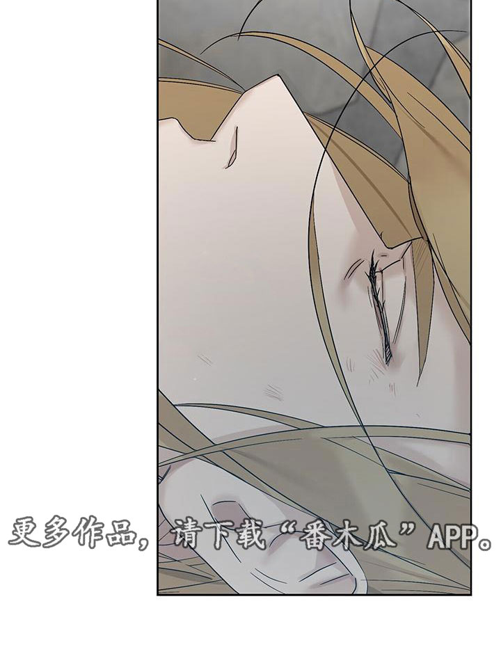走进玫瑰园 - 玩点不一样 - 第25页