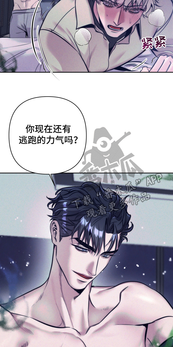 虚假烙印 - 久违了 - 第15页