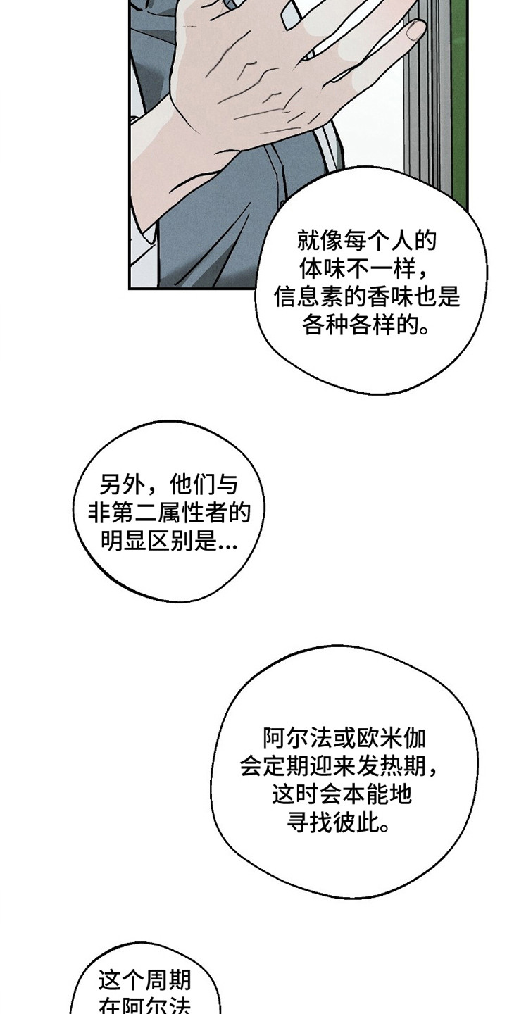 不透明关系 - 第二属性 - 第22页