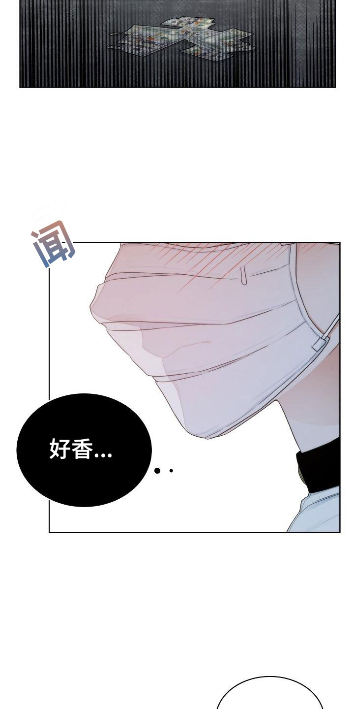 曼哈顿罗曼史 - 初遇 - 第13页