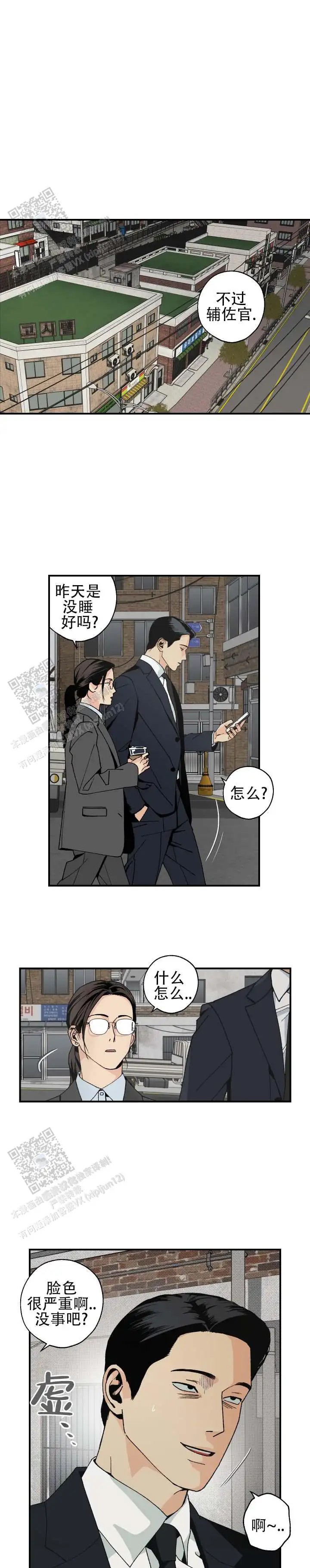 与拳为伍 - 绝了 - 第8页
