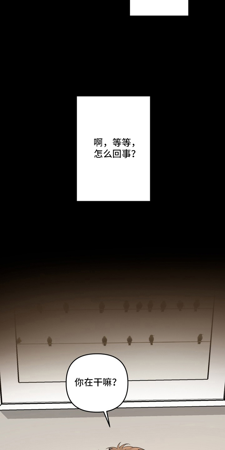 哥你跑不掉了 - 免费的酒 - 第14页