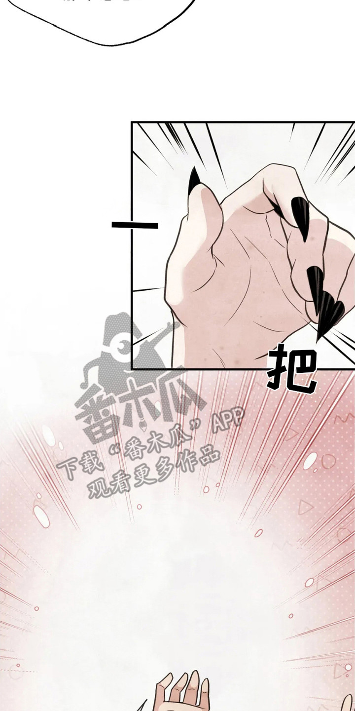 虎糕传 - 贡品 - 第18页