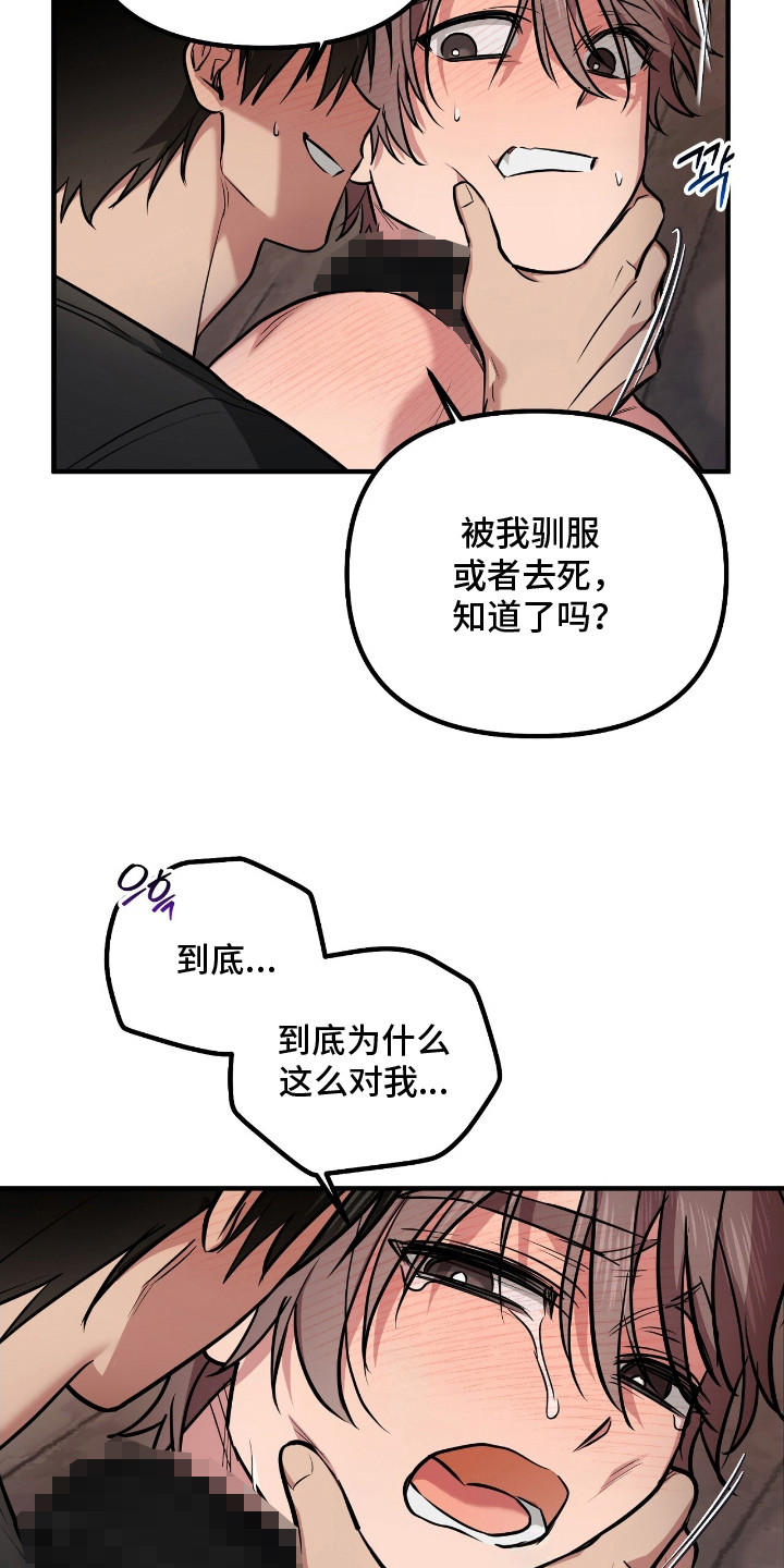 活体快递 - 屈服 - 第13页