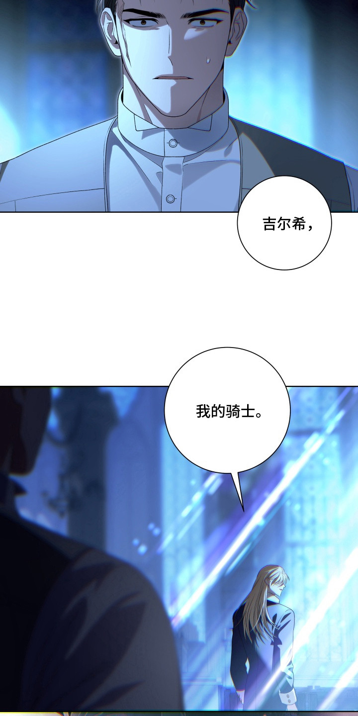 神堕之夜 - 召见 - 第20页