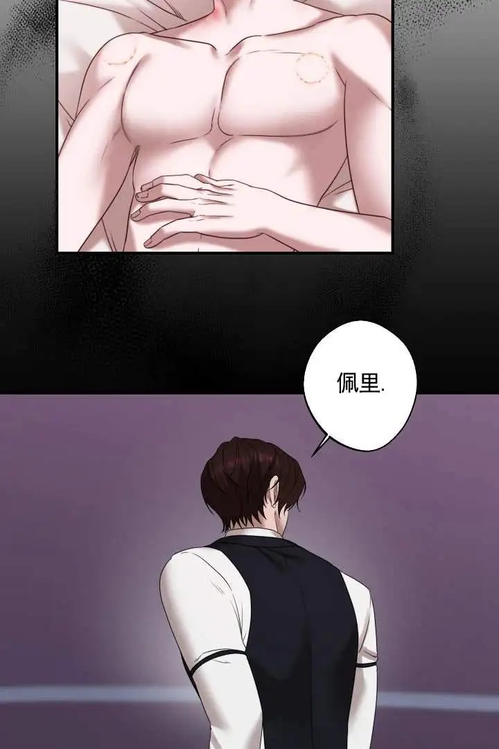 傀儡契约 - 合约成立 - 第11页