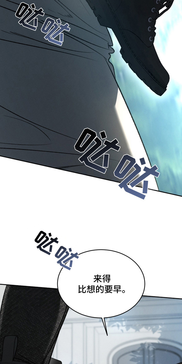 致命伪装 - 收尾款 - 第21页