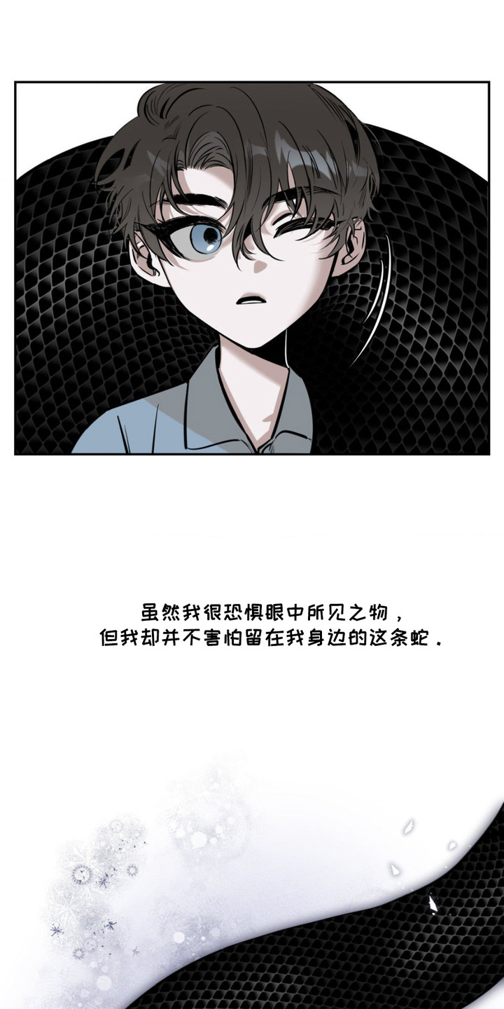 月下蛇影 - 无头蛇 - 第5页