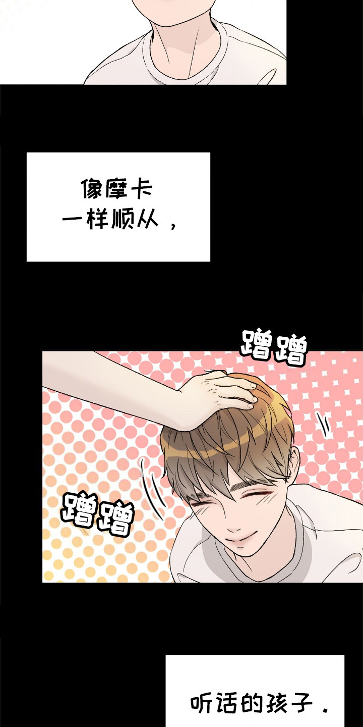 爱犬宝贝 - 摩卡 - 第22页