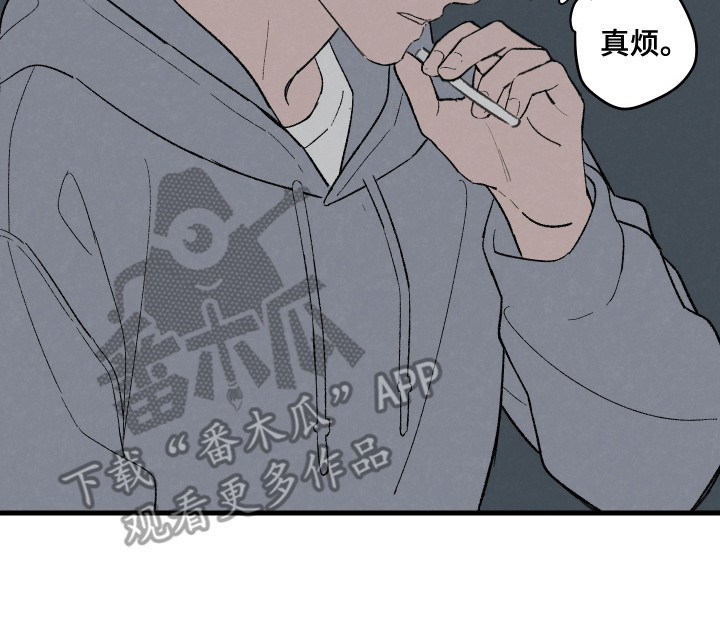 多彩青春 - 聚会 - 第17页