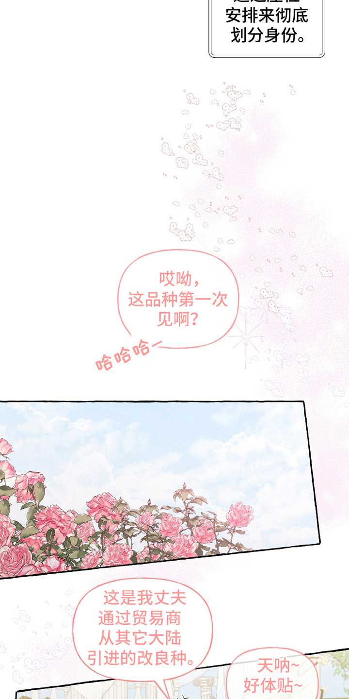 皇宫院子里的狗 - 宴会 - 第9页