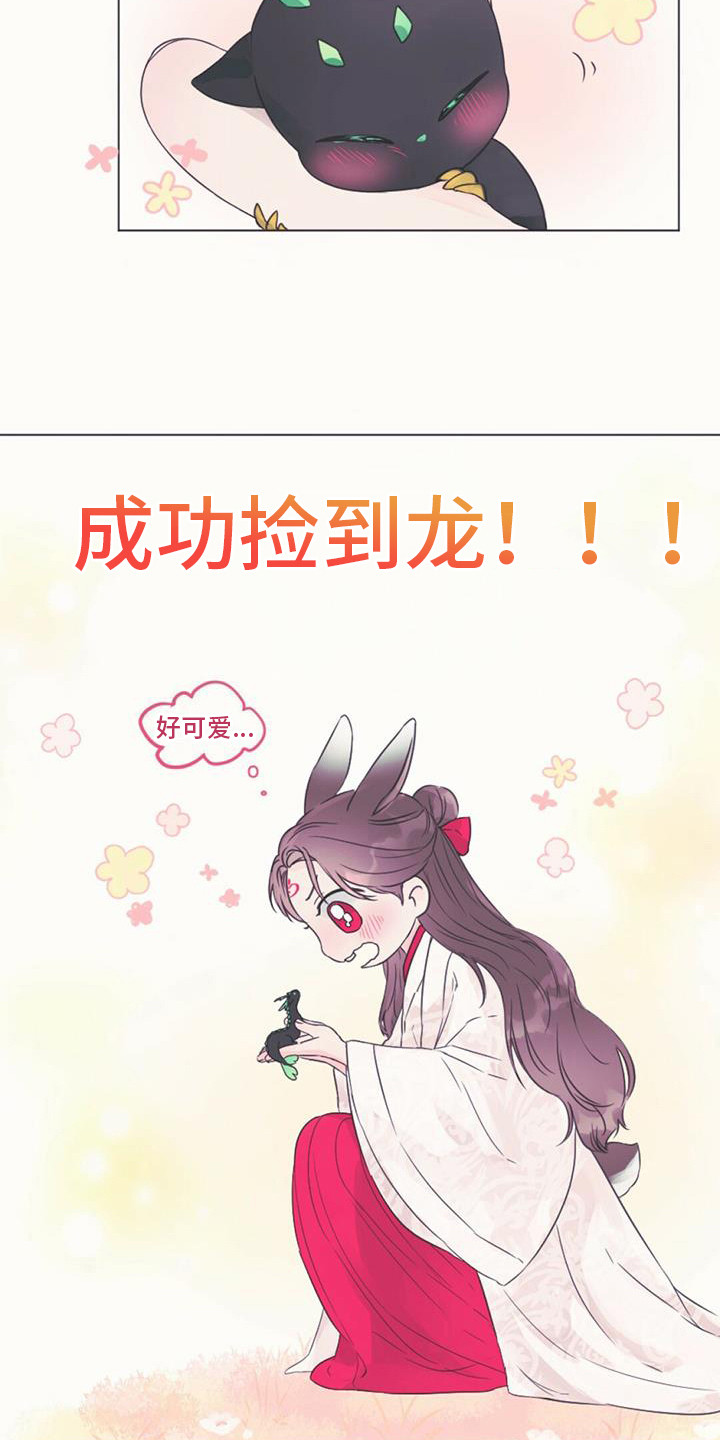 兔兔的小龙宝 - 取名 - 第15页