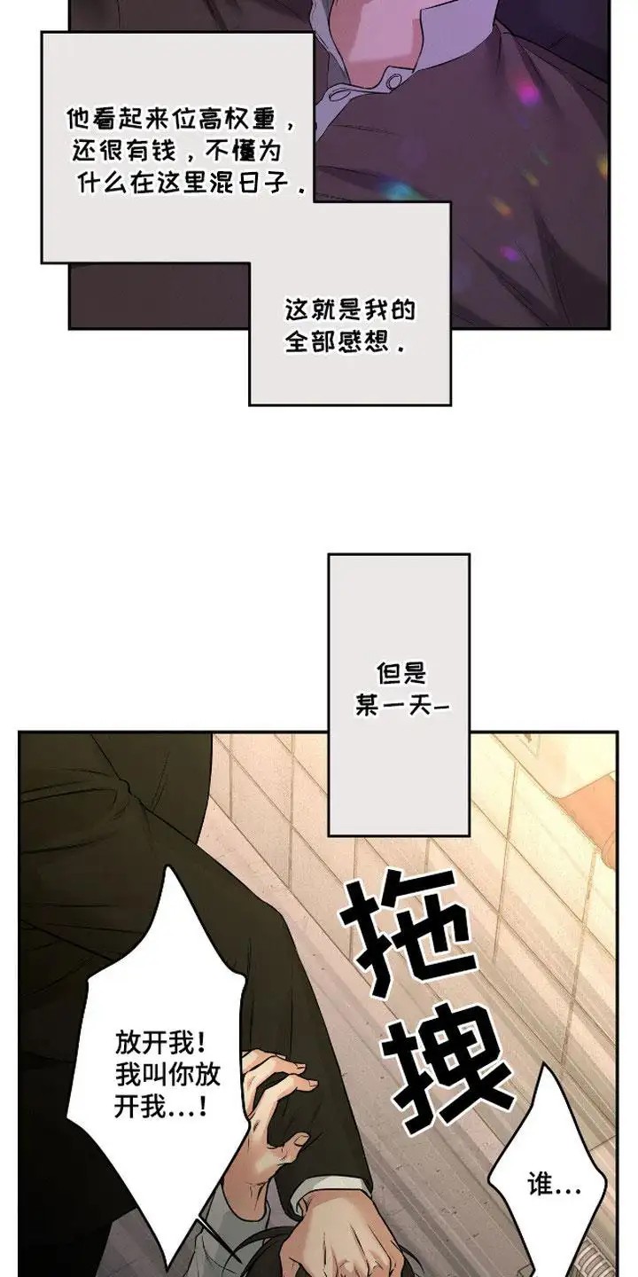 三月的樱花 - 称呼 - 第17页
