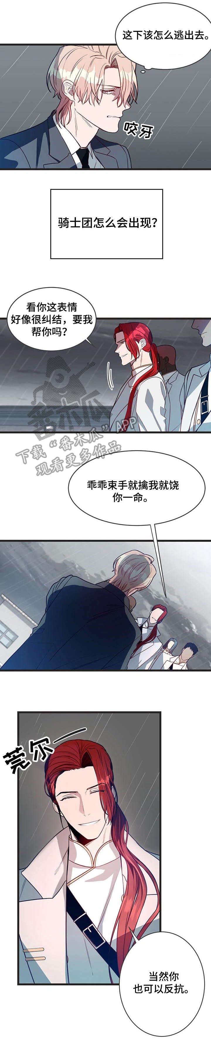 纽约危情 - 骑士团 - 第11页
