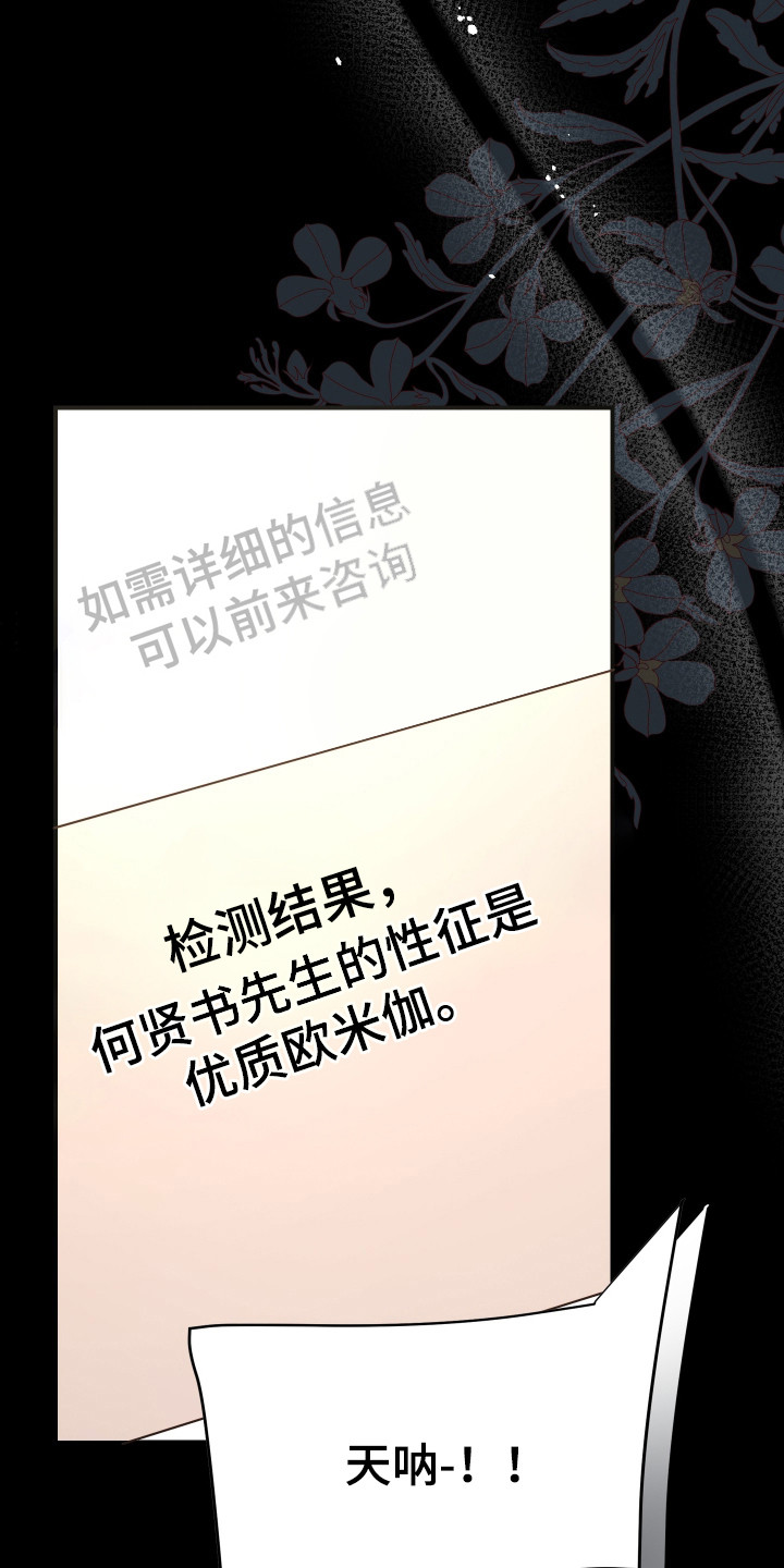 欧米伽的伪装 - 被卖了 - 第18页