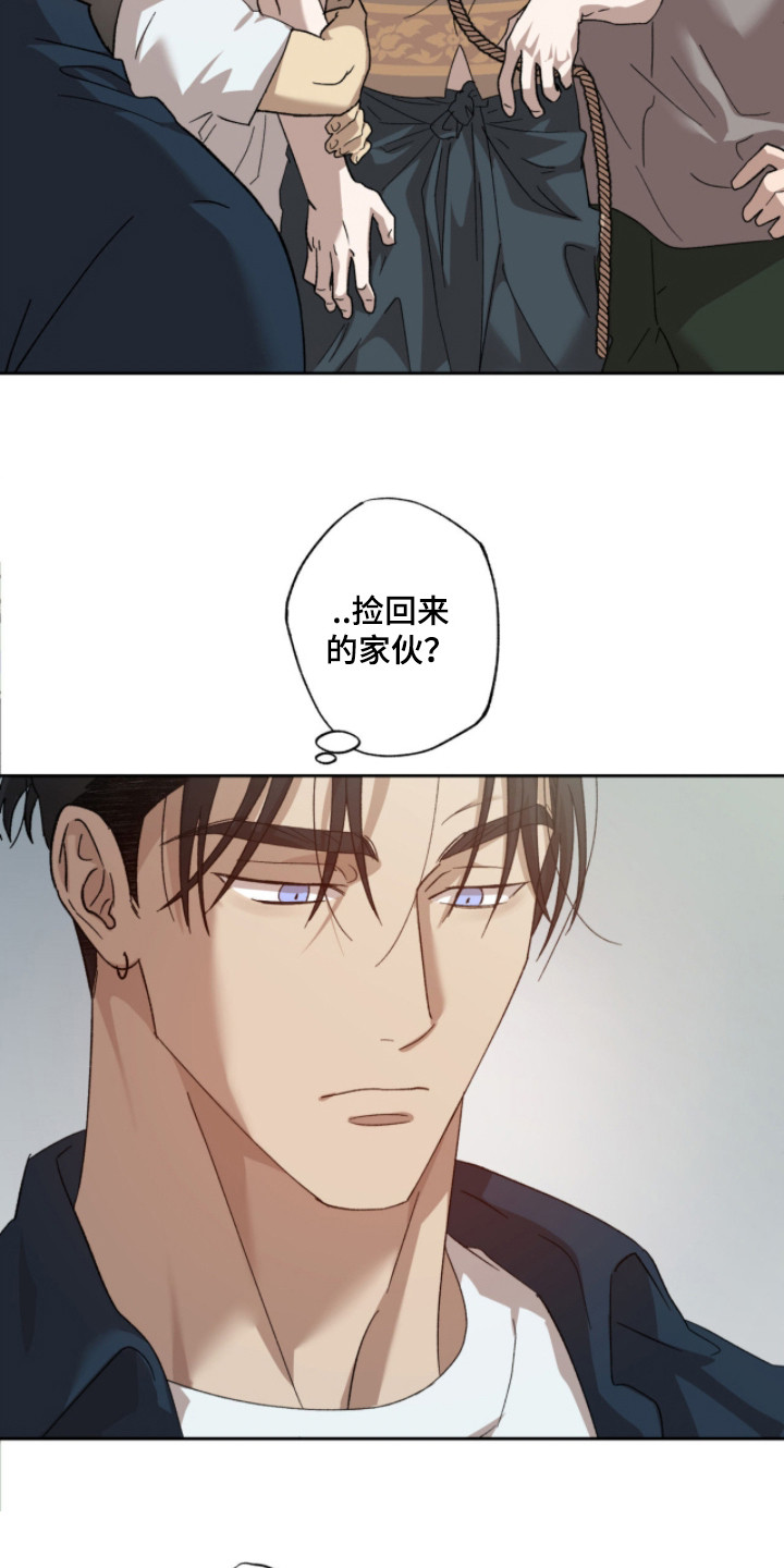 双生悲愿 - 警告 - 第20页