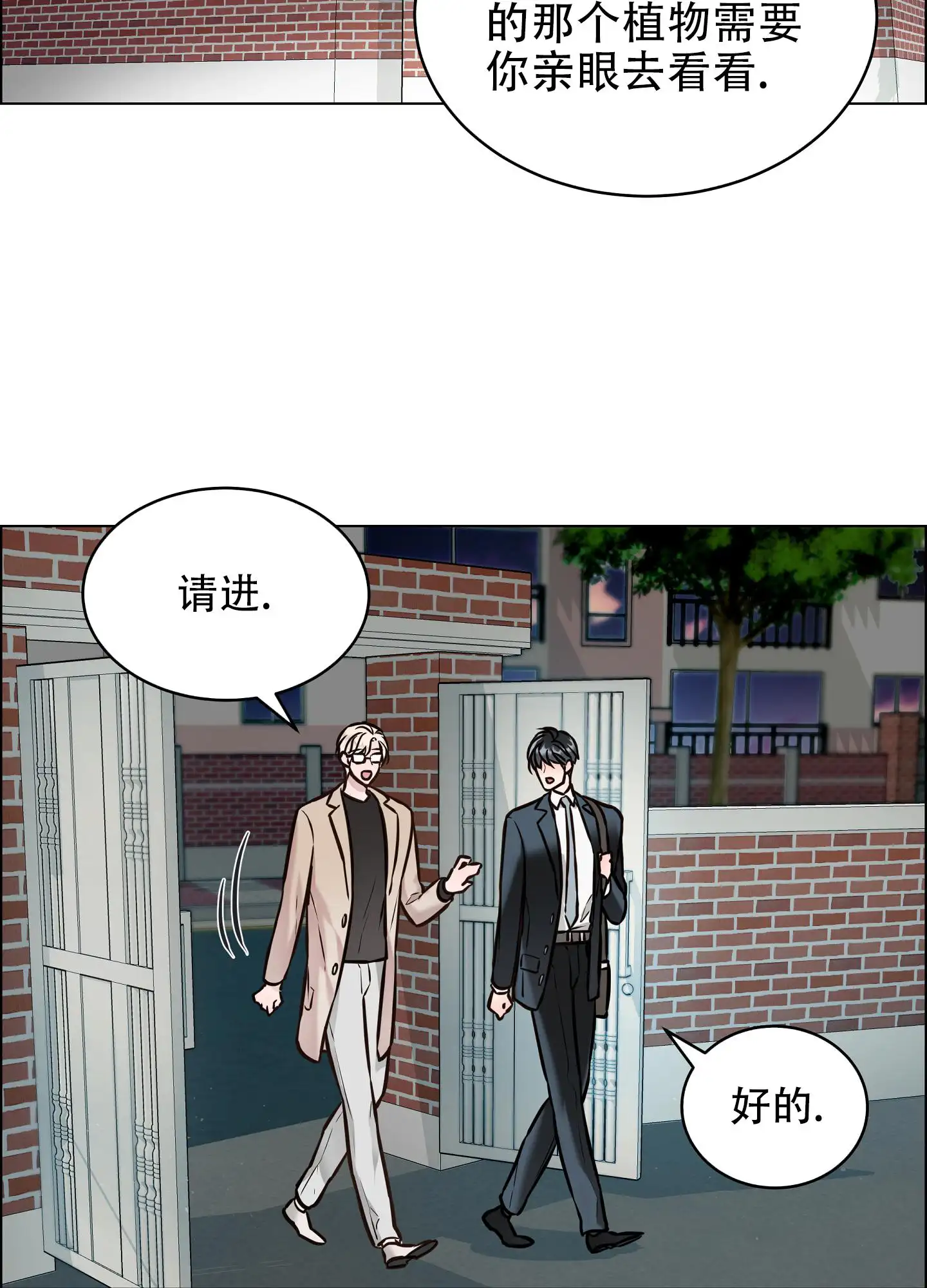 植物疗法 - 神奇植物 - 第10页
