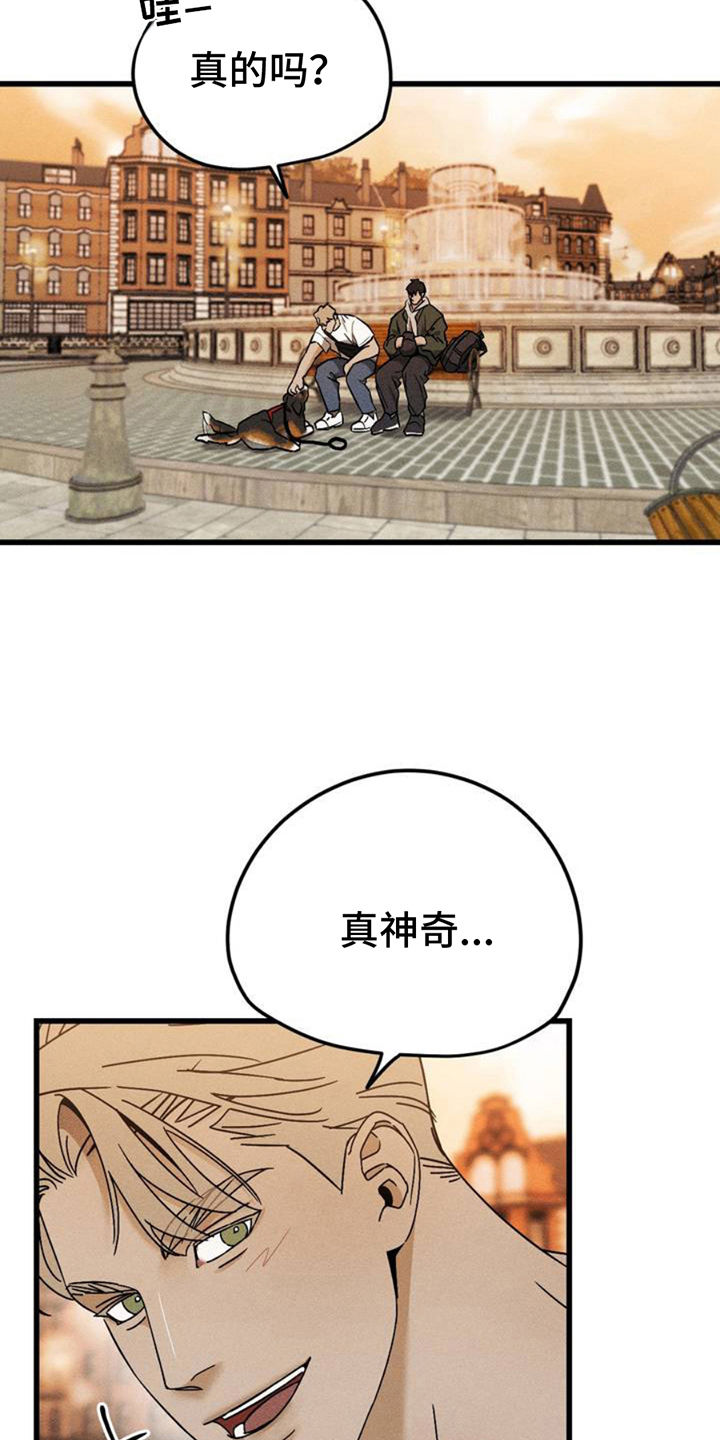 异国替身 - 相似 - 第18页