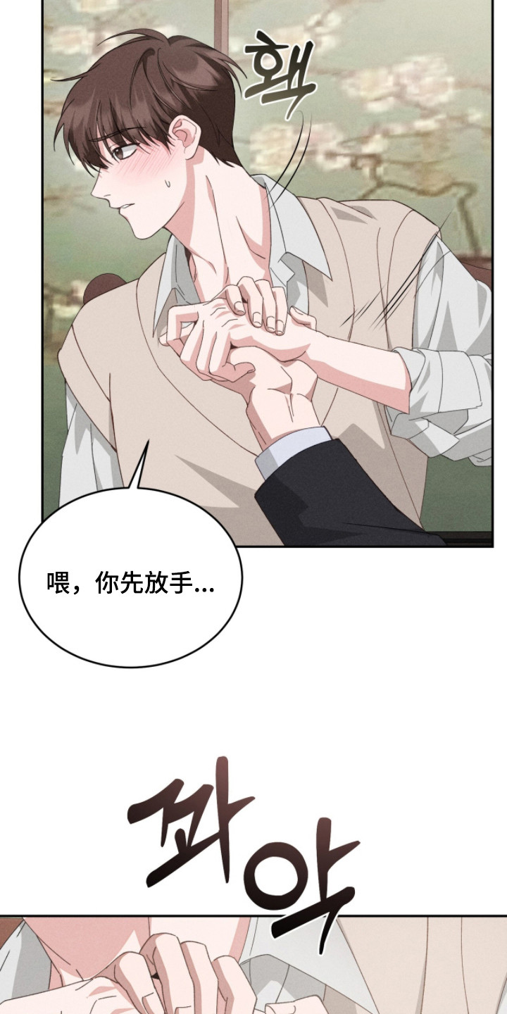 危情三人戏 - 双胞胎 - 第13页