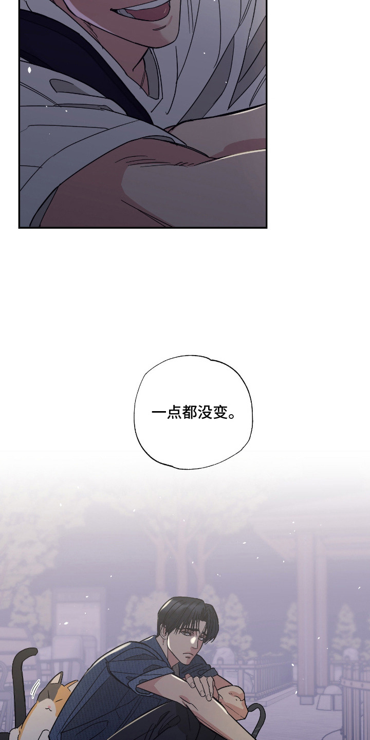 猫大爷和我 - 野猫 - 第14页
