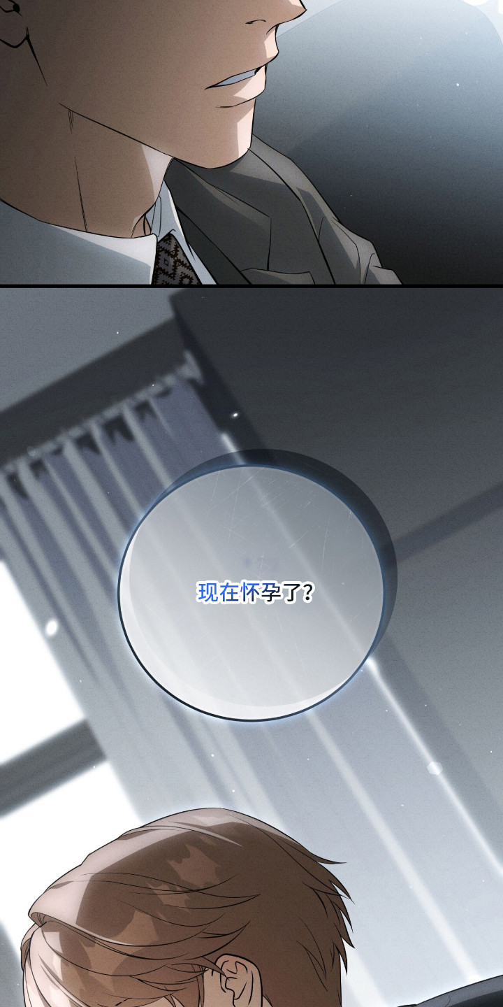ABO标记法则 - 怀孕了 - 第9页