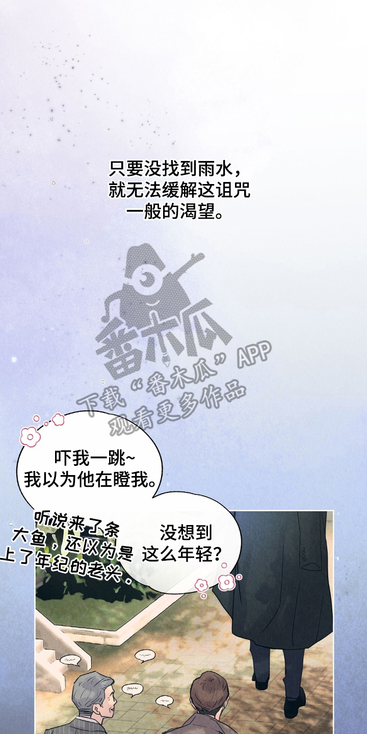 雨无痕 - 雨水 - 第17页