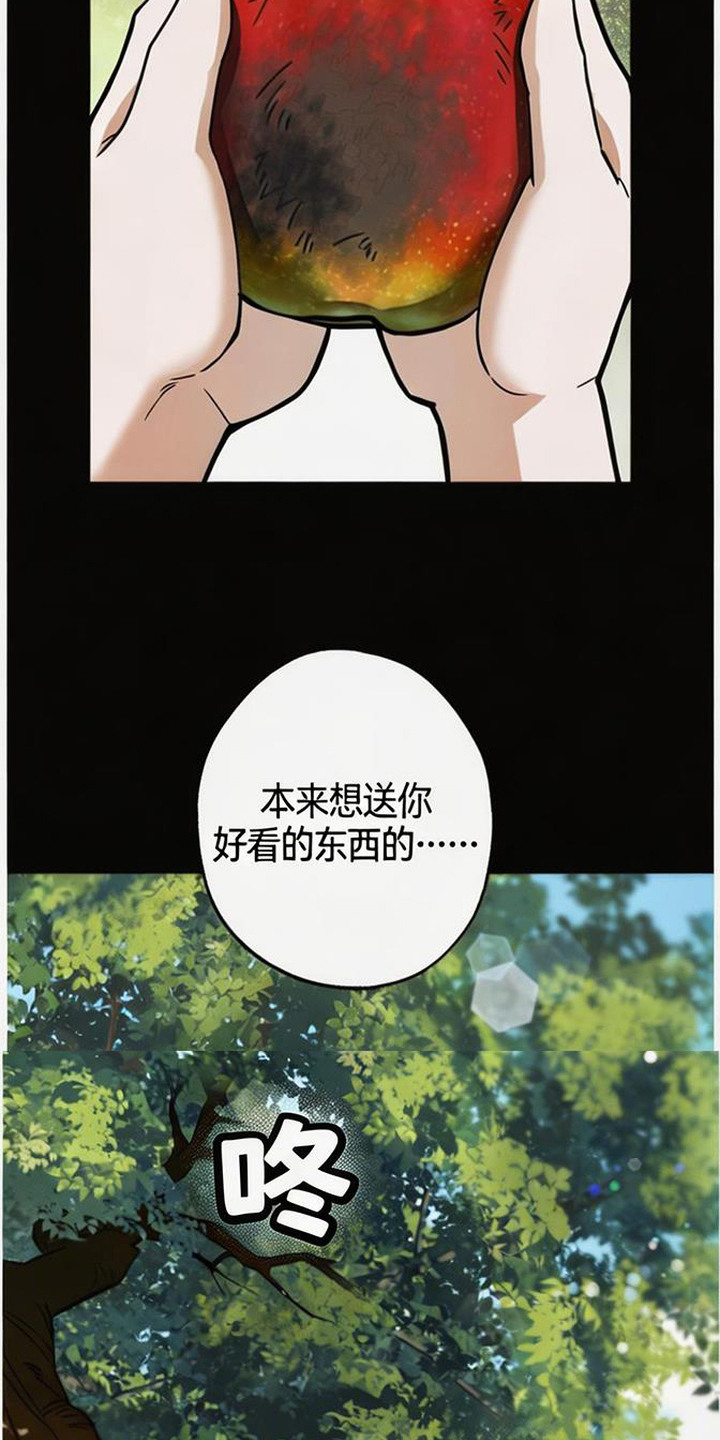 萎缩的恋心 - 苹果 - 第13页