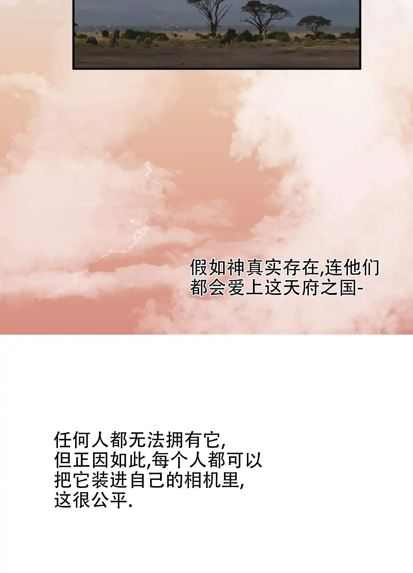 丛林游戏 - 野外拍摄 - 第21页