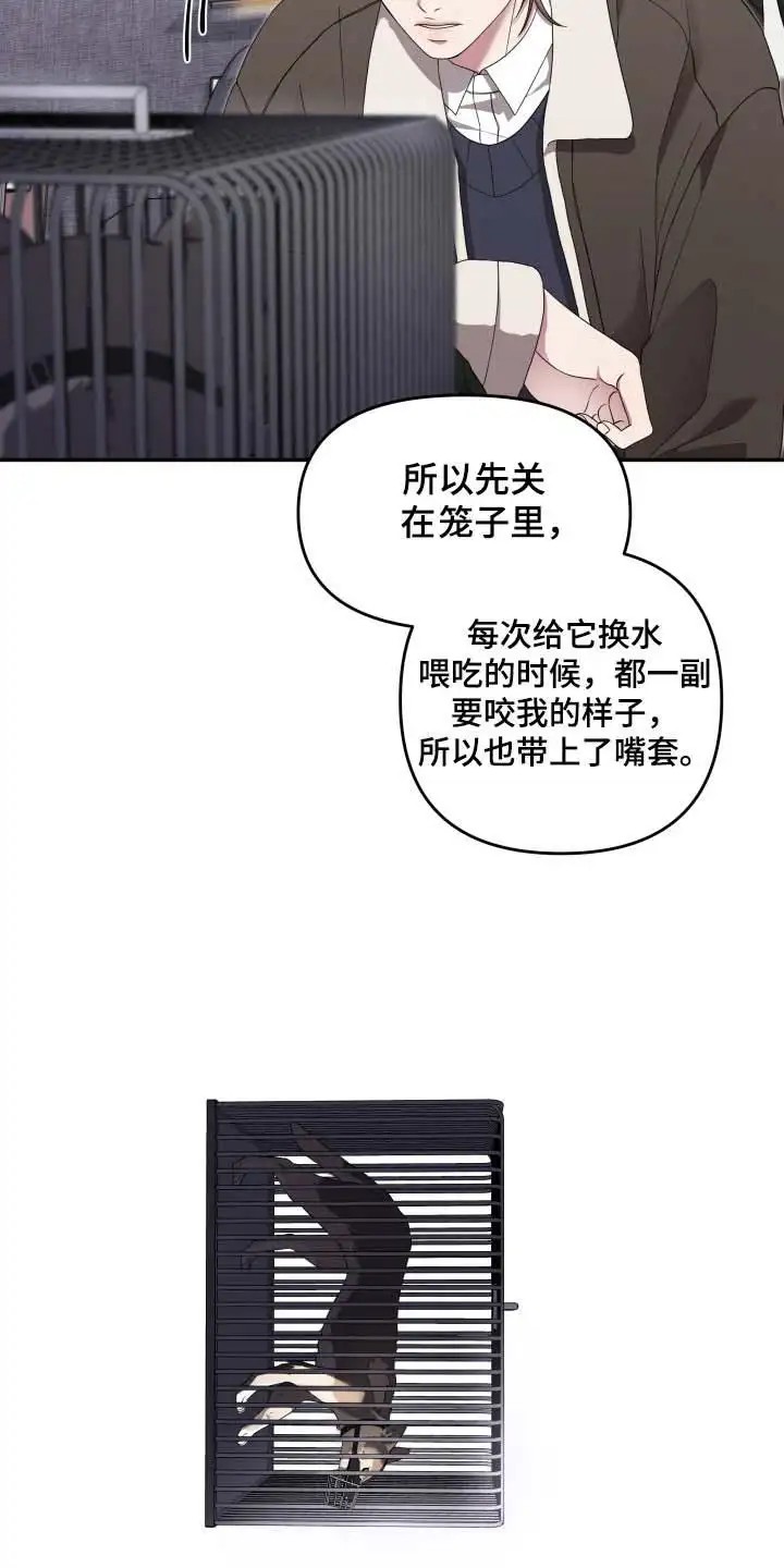 猛宠旧情 - 狼崽 - 第23页