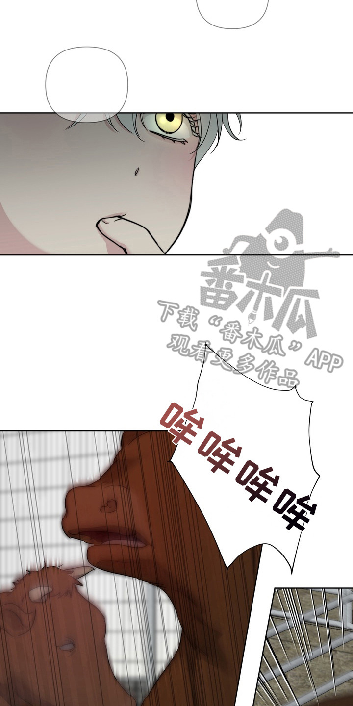 白狐日记 - 牲口棚 - 第18页