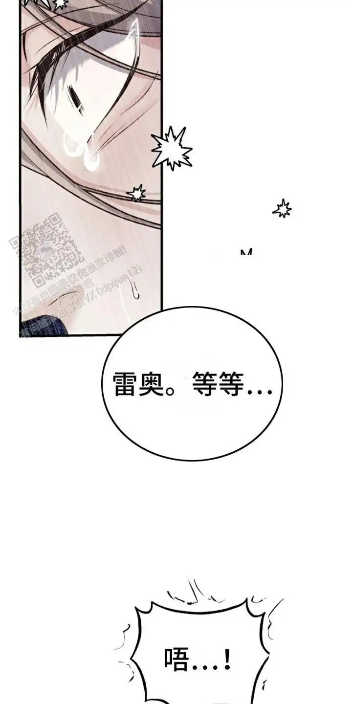 特殊实验 - 老鼠 - 第15页