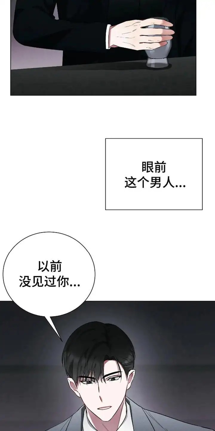 坏苹果替代品 - 阔气总裁 - 第9页