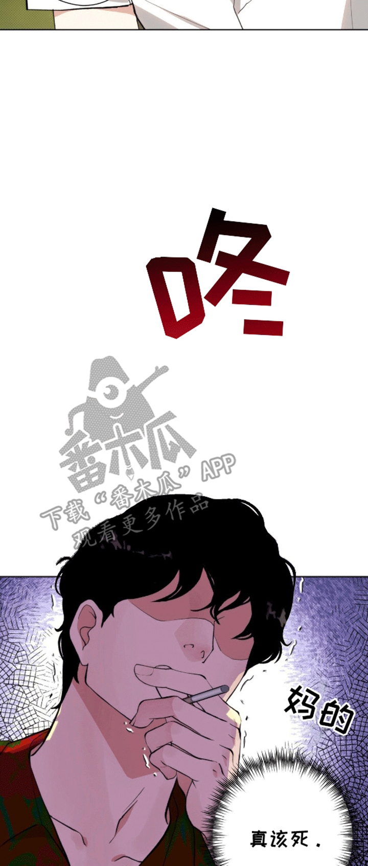 爱情岛 - 计划通 - 第5页