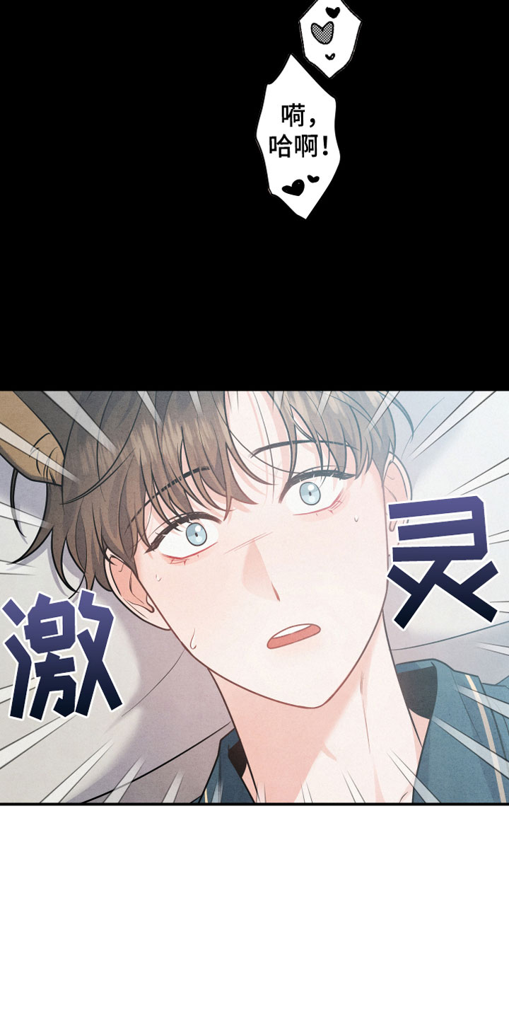狗狗的恋爱 - 小型犬 - 第21页